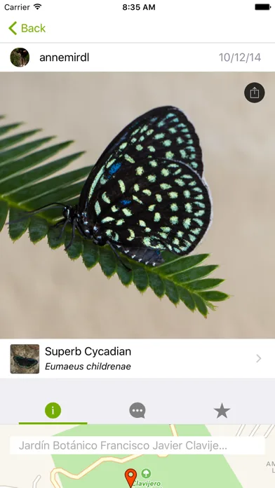iNaturalist Classic screenshot 1