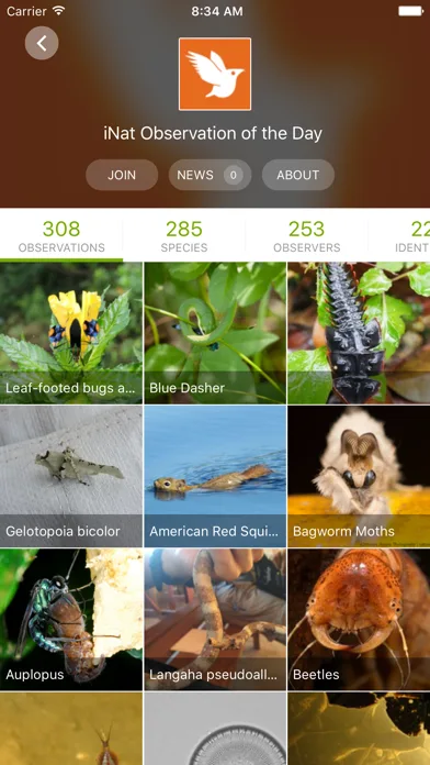 iNaturalist Classic screenshot 3