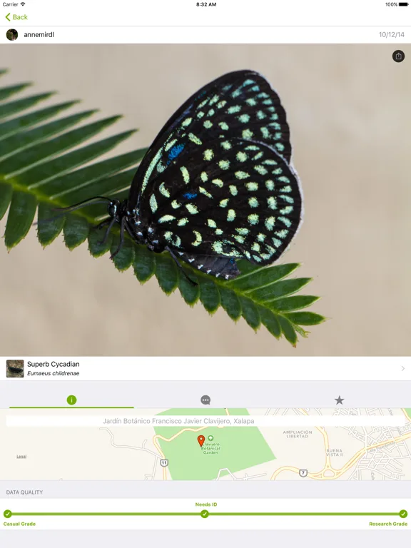 iNaturalist Classic screenshot 5