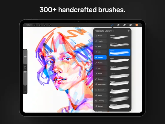 Procreate screenshot 2