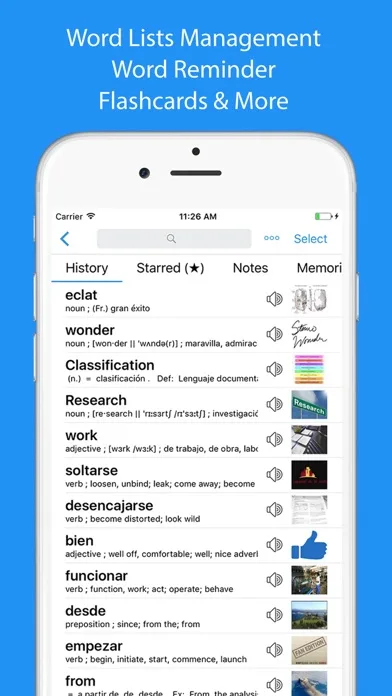 Spanish Dictionary - Dict Box screenshot 4