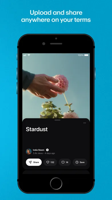 Vimeo screenshot 2
