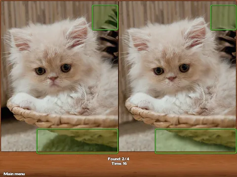 Spot the Differences screenshot 5