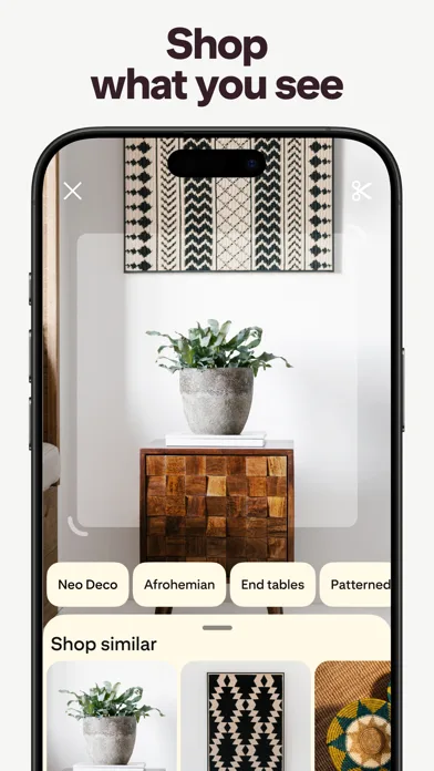 Pinterest screenshot 2