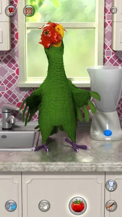 Talking Pierre the Parrot screenshot 2