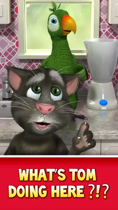 Talking Pierre the Parrot screenshot 4