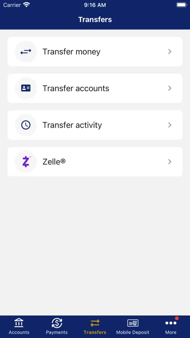 Nevada State Bank screenshot 3