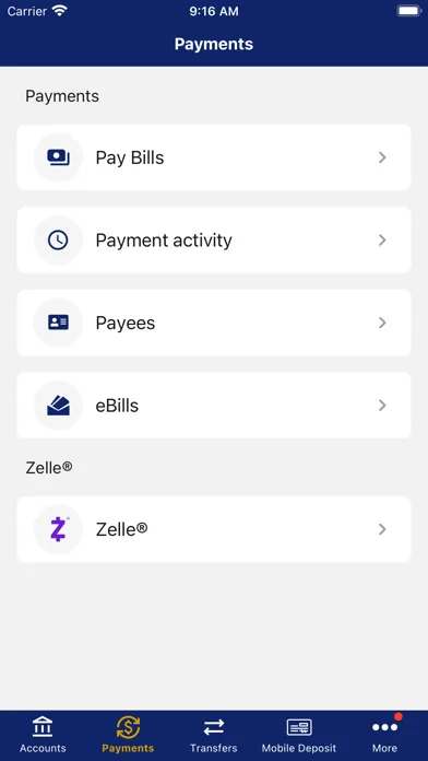 Nevada State Bank screenshot 4