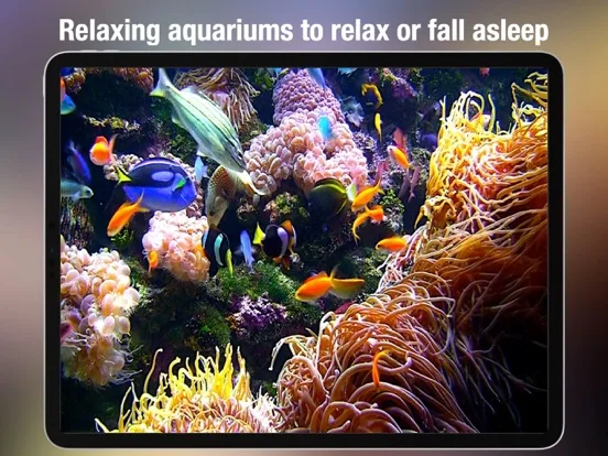 Aquarium Live HD+ screenshot 5