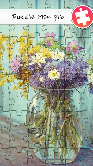 Puzzle Man Pro screenshot 1