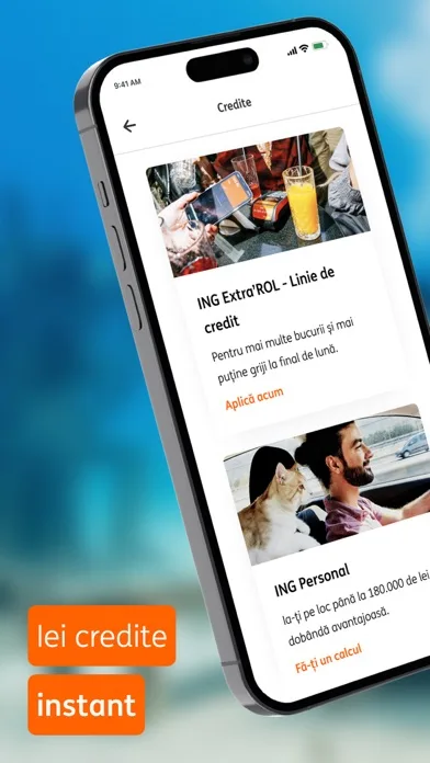 ING HomeBank screenshot 5