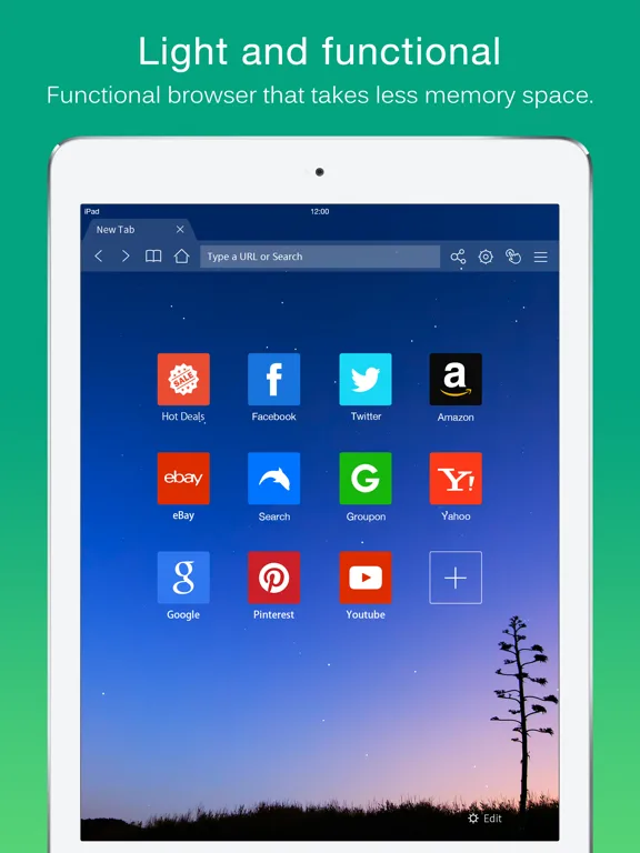 Dolphin Web Browser for iPad screenshot 1