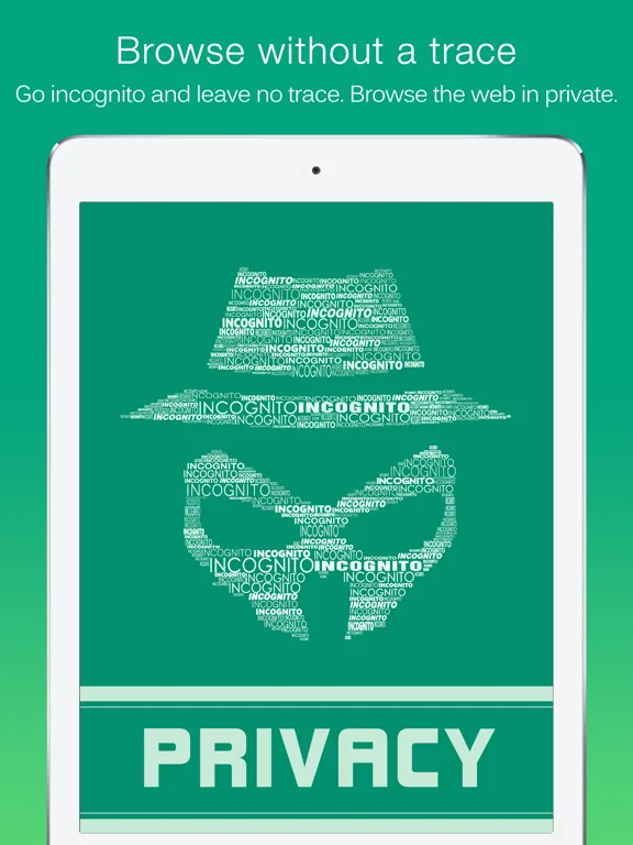 Dolphin Web Browser for iPad screenshot 4