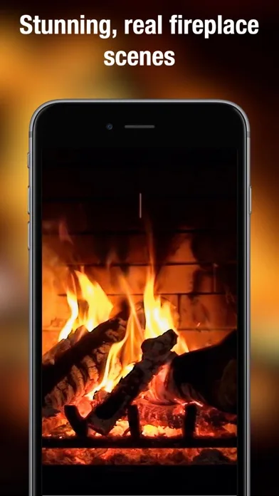 Fireplace Live HD pro screenshot 2