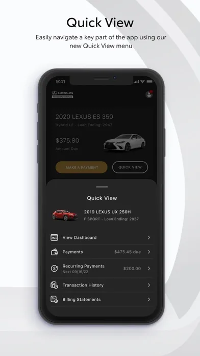 Lexus Financial Services screenshot 5