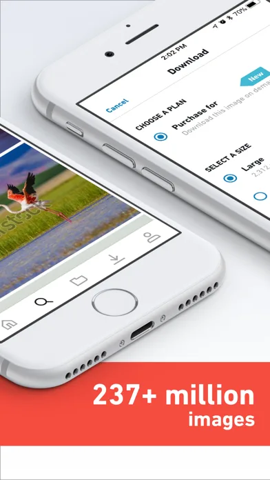 Shutterstock - Stock Photos screenshot 2