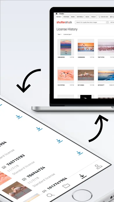 Shutterstock - Stock Photos screenshot 5