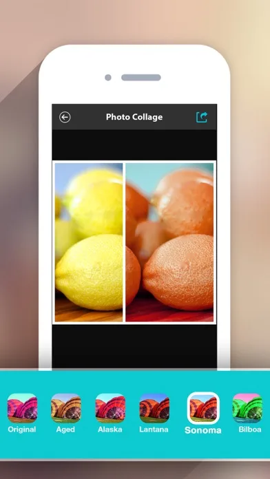 Photo Collage HD Pro – Pic Frame Maker Grid Editor screenshot 5