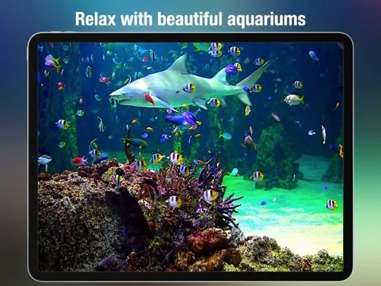 Aquarium Live - Real Fish Tank screenshot 4
