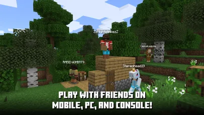Minecraft: Dream it, Build it! screenshot 4