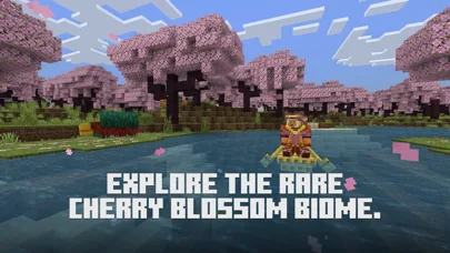 Minecraft: Dream it, Build it! screenshot 5