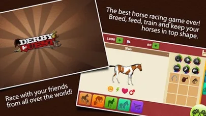 Derby Quest: Horse Manager screenshot 5