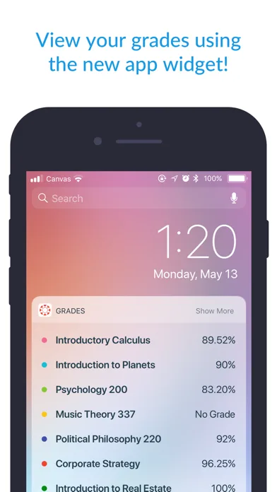 Canvas by Instructure screenshot 3