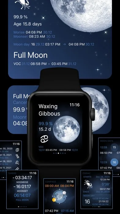 Deluxe Moon Pro • App & Widget screenshot 3
