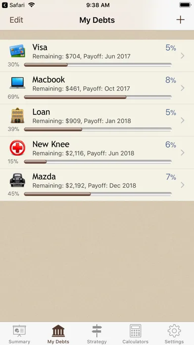 Debt Manager screenshot 2