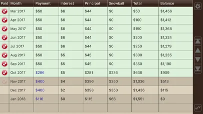 Debt Manager screenshot 4