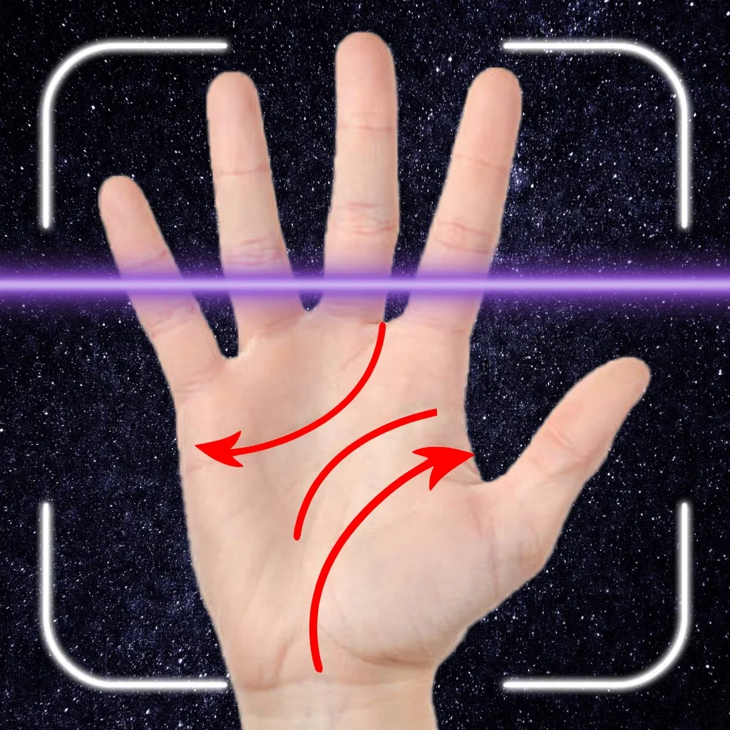 Palm Reader: My Life Palmistry