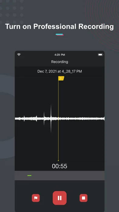 Voice Recorder & Notes Pro screenshot 1