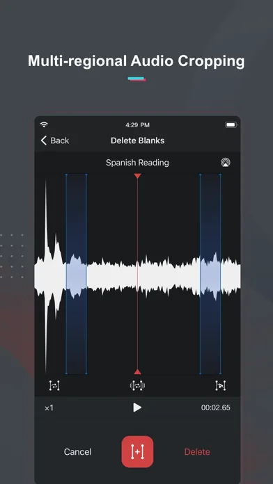 Voice Recorder & Notes Pro screenshot 3
