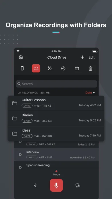 Voice Recorder & Notes Pro screenshot 4