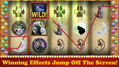 Slots™ screenshot 5