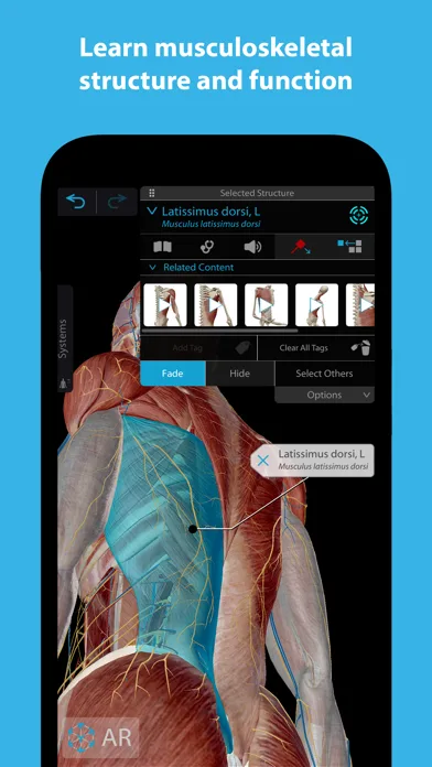 Muscles & Kinesiology screenshot 1