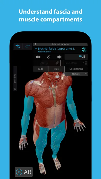 Muscles & Kinesiology screenshot 4