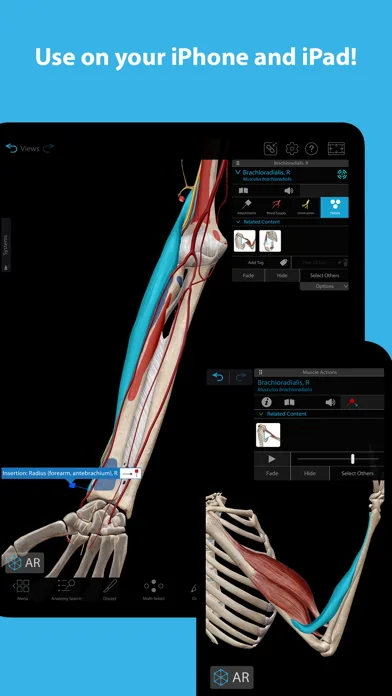 Muscles & Kinesiology screenshot 5