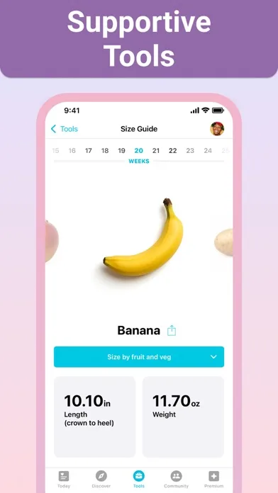 Pregnancy + | Tracker App screenshot 2