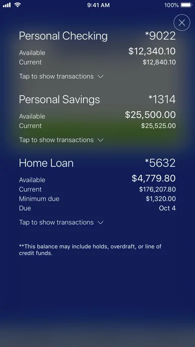 Ridgewood Savings Bank screenshot 1