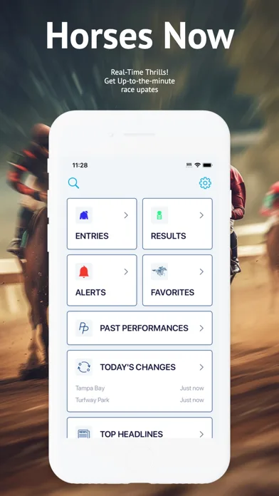 HorseRacesNow screenshot 1