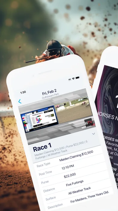 HorseRacesNow screenshot 2