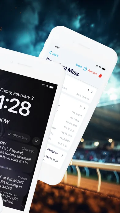 HorseRacesNow screenshot 3