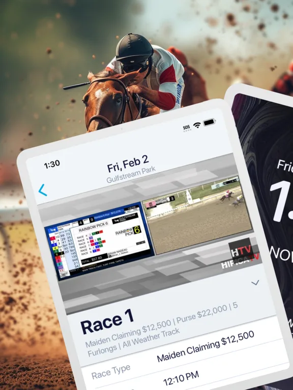HorseRacesNow screenshot 5