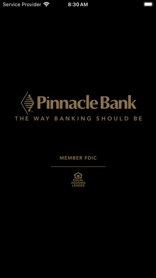Pinnacle Bank Texas screenshot 1