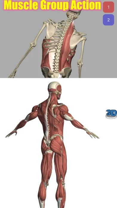 Visual Anatomy screenshot 3