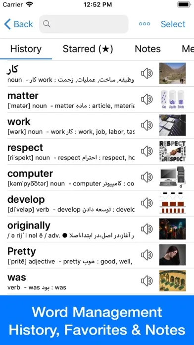 Persian Dictionary - Dict Box screenshot 4
