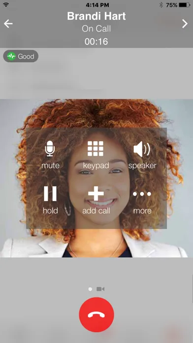 Bria Enterprise screenshot 2