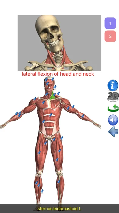Visual Anatomy Lite screenshot 1