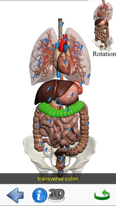 Visual Anatomy Lite screenshot 5